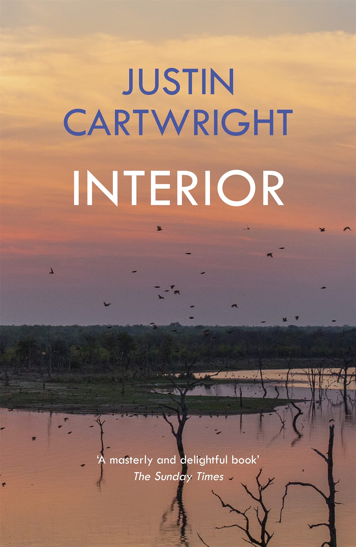 Interior by Justin Cartwright