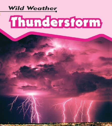 Thunderstorm (Wild Weather) (Wild Weather) by Catherine Chambers