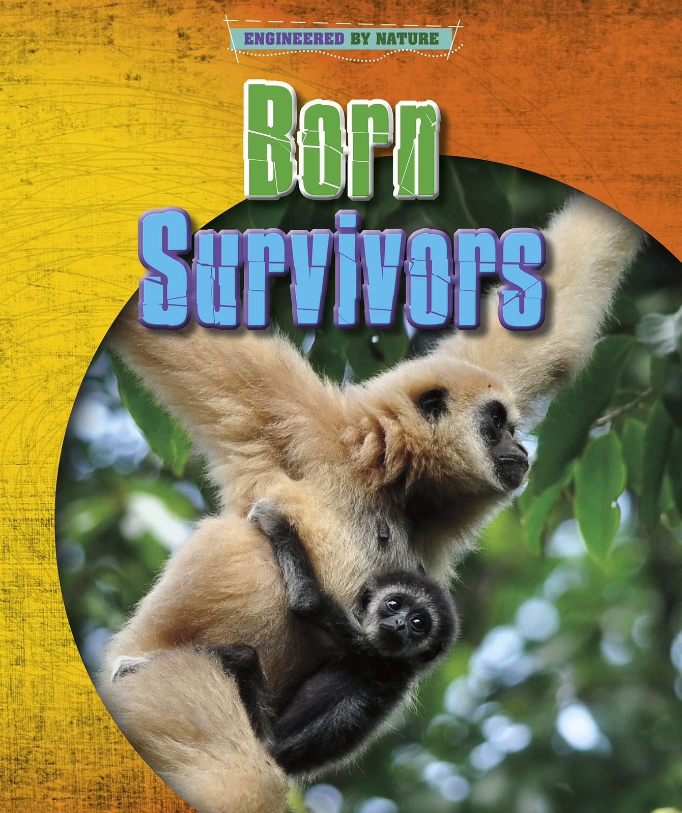 Engineered by Nature: Born Survivors by Louise Spilsbury, Richard Spilsbury