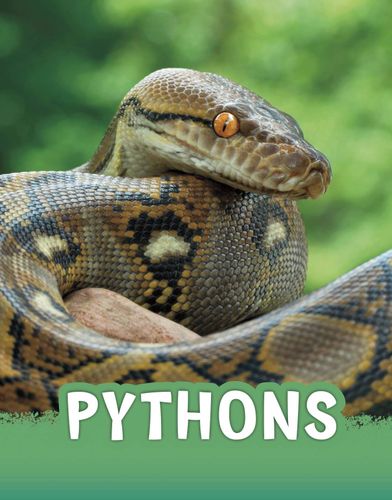 Pythons by Martha E. Rustad
