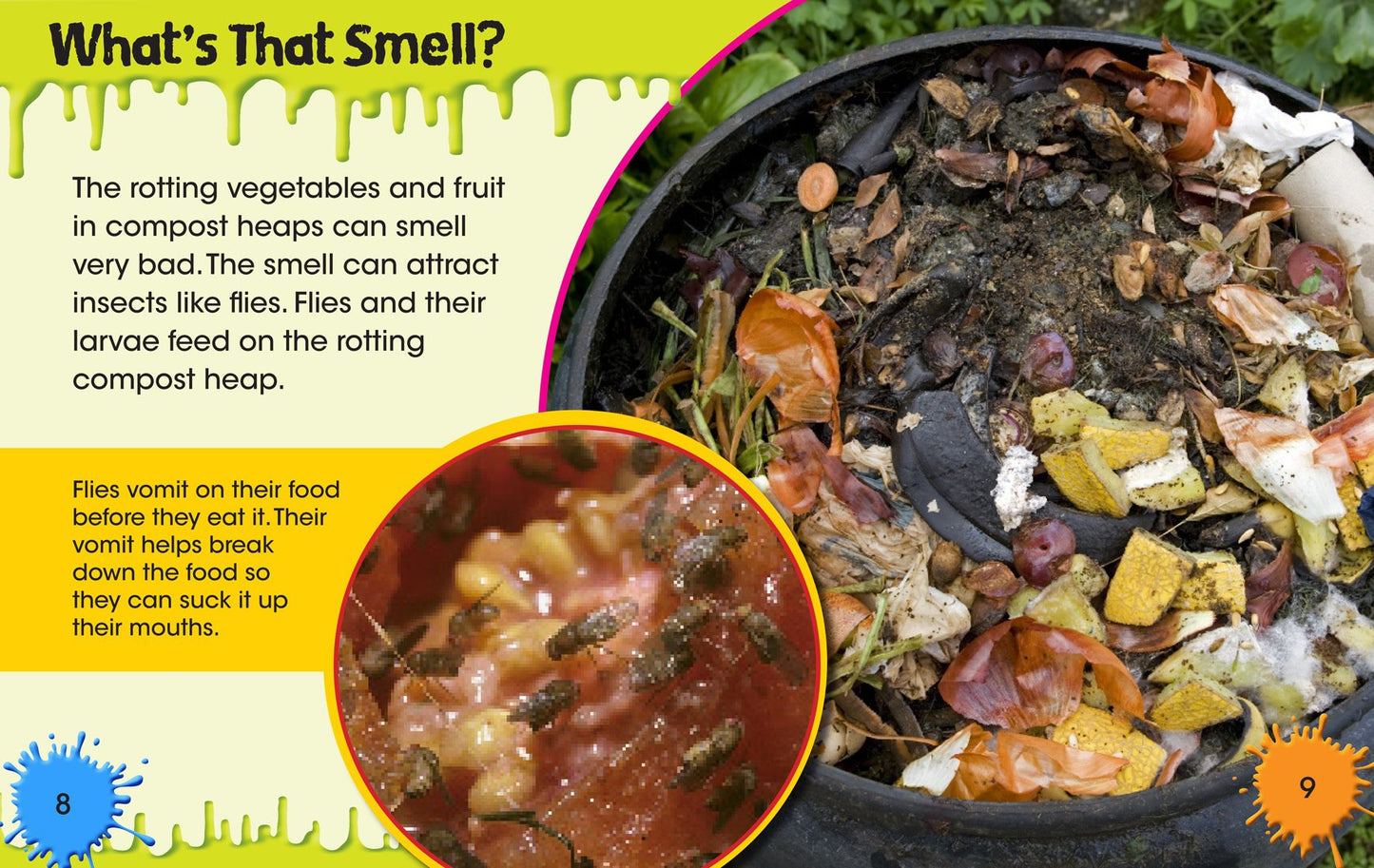 The Compost Heap (Read Me!: Horrible Habitats) by Sharon Katz Cooper