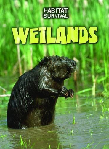 Wetlands (Habitat Survival) by Buffy Silverman