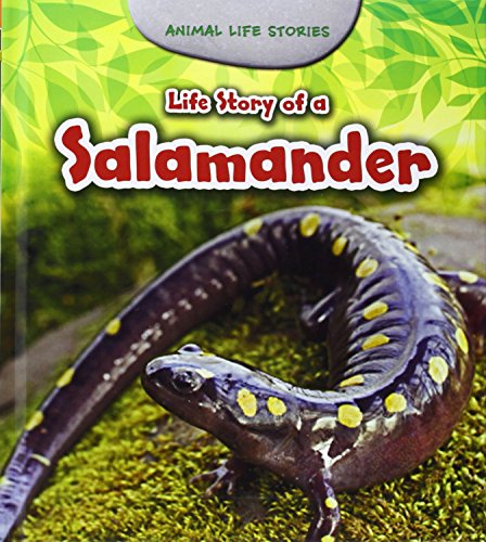Life Story of a Salamander (Young Explorer: Animal Life Stories) by Charlotte Guillain