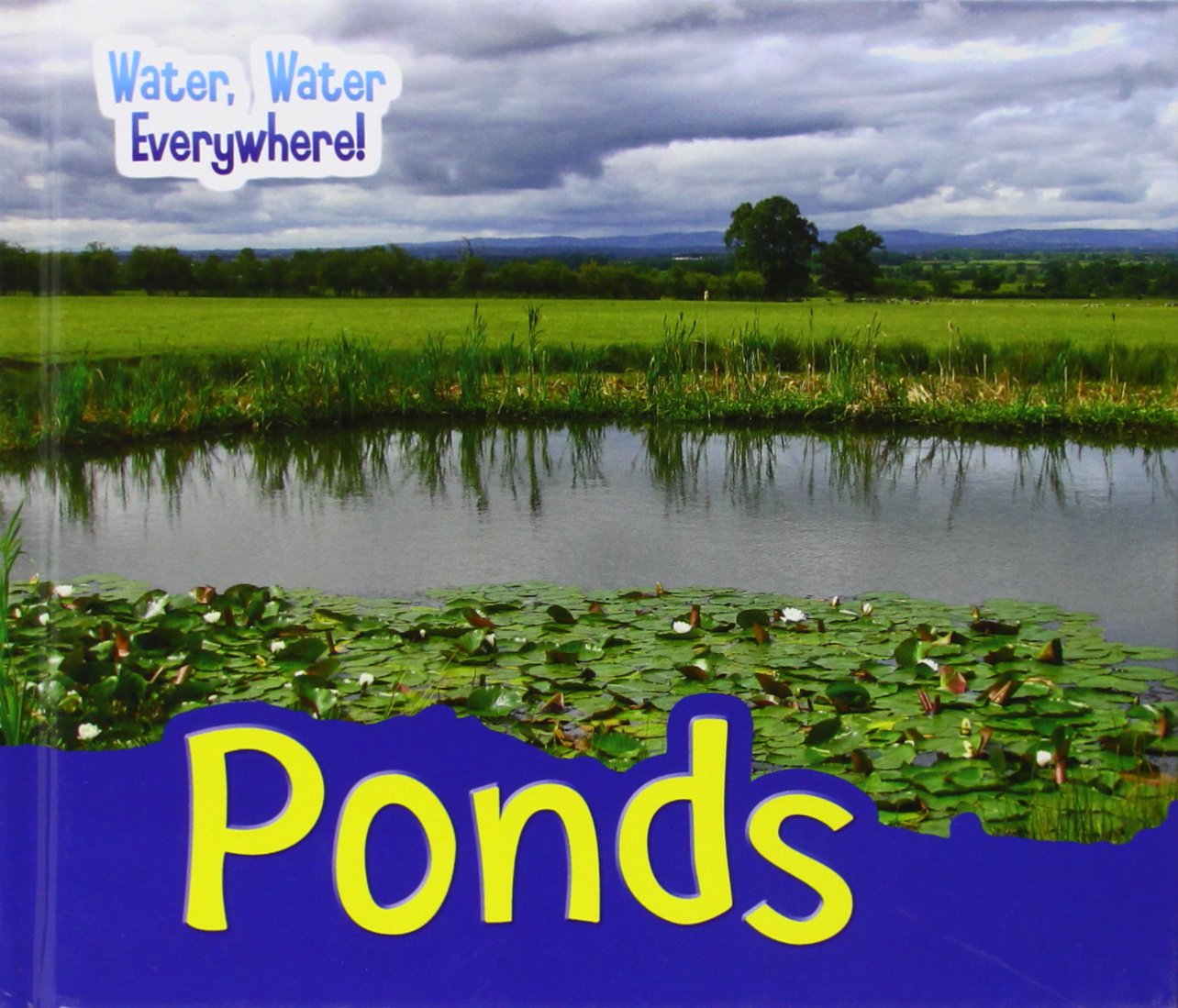 Ponds (Acorn: Water, Water Everywhere!) by Diyan Leake