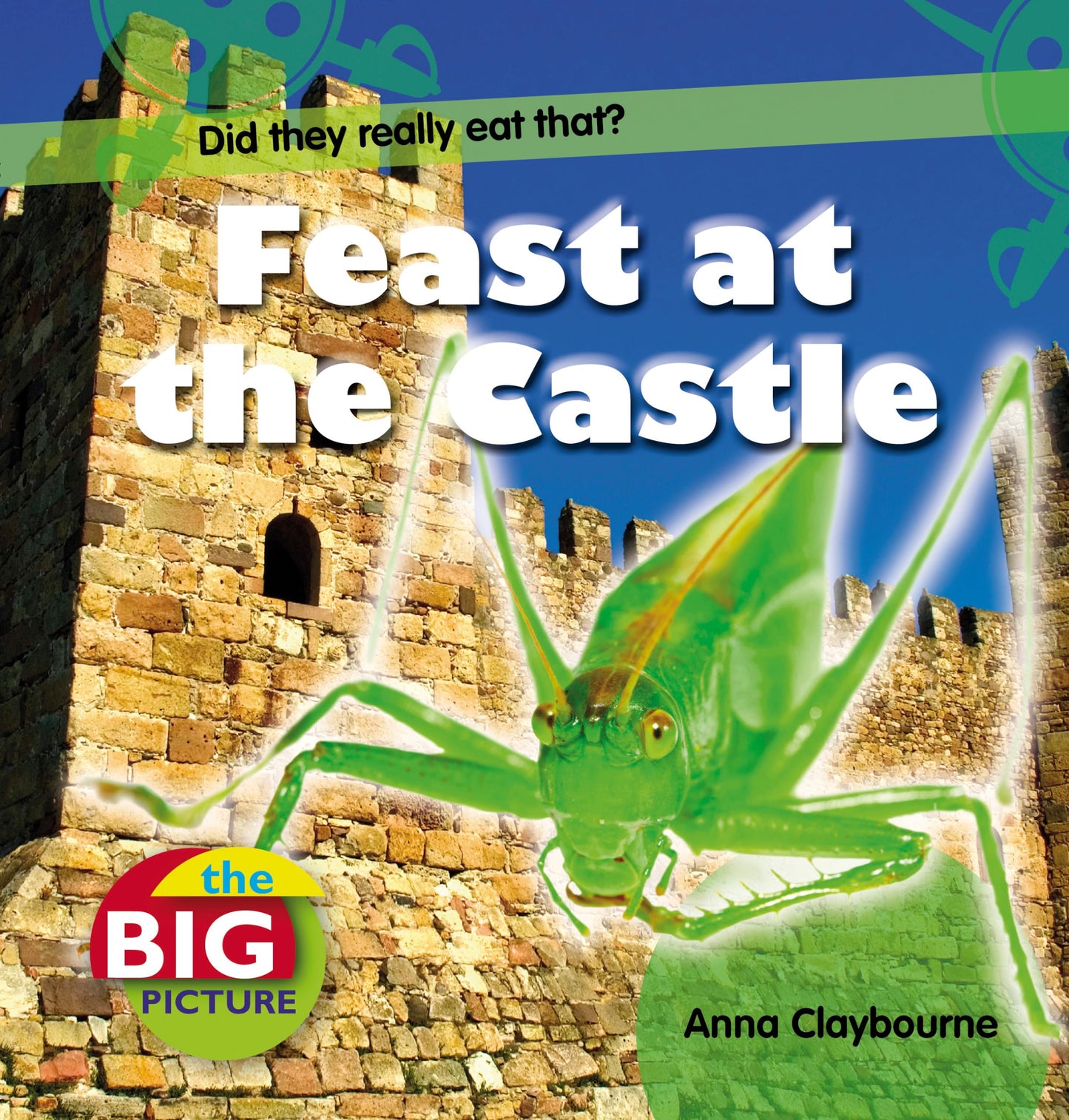 Feast at the Castle (The Big Picture) by Anna Claybourne
