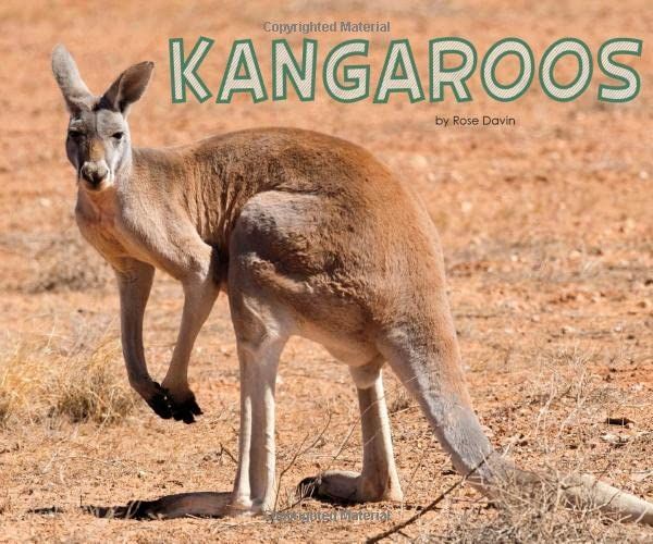 Kangaroos by Rose Davin