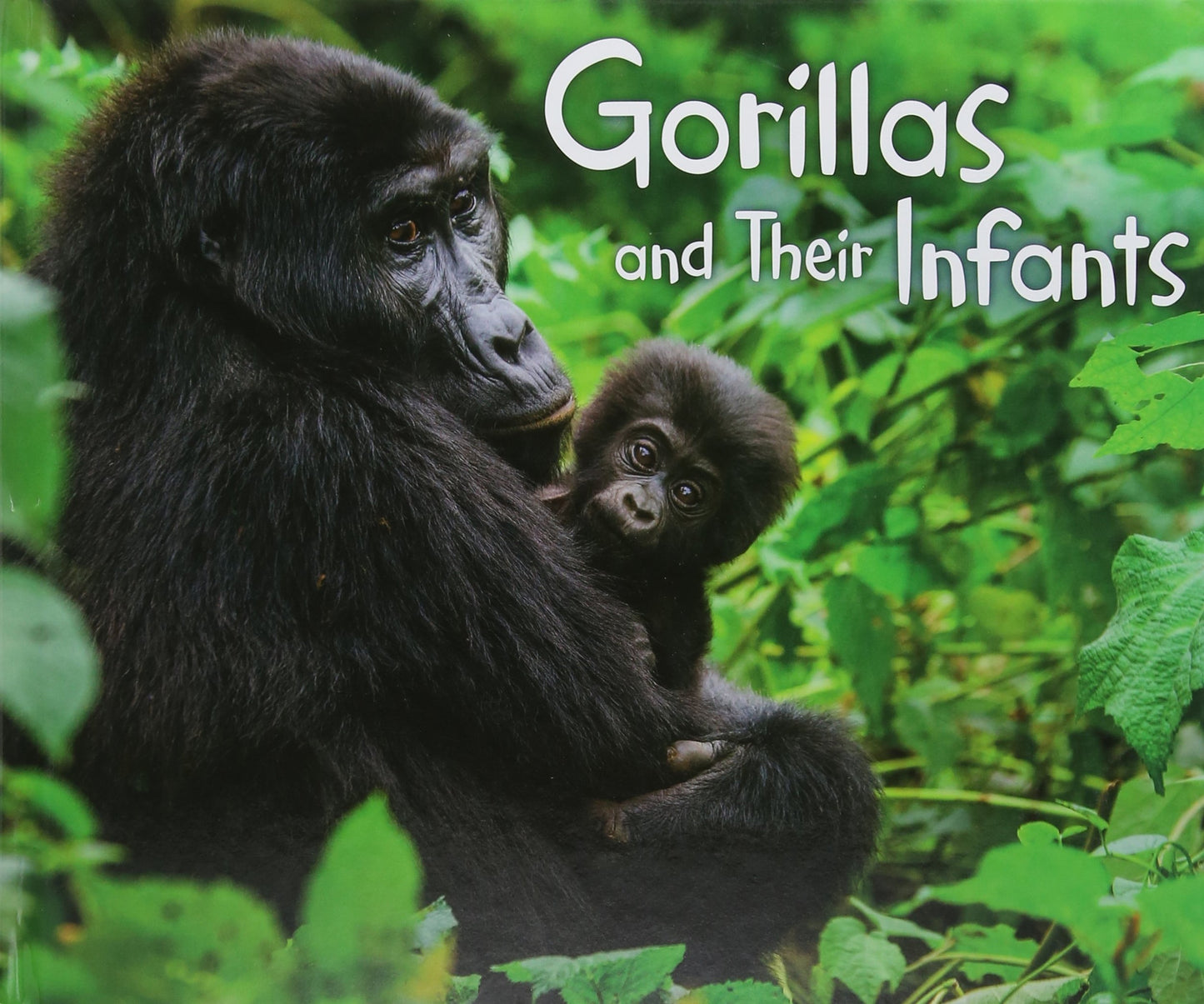 Gorillas & Their Infants by Margaret Hall
