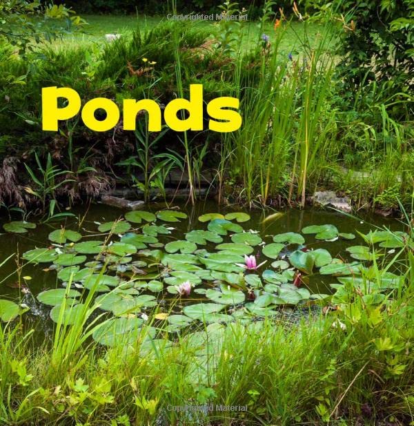 Ponds (Bodies of Water) by Erika L. Shores