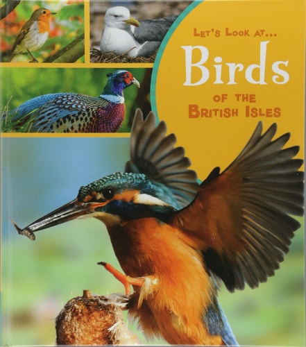 Birds Of The British Isles by Lucy Beevor