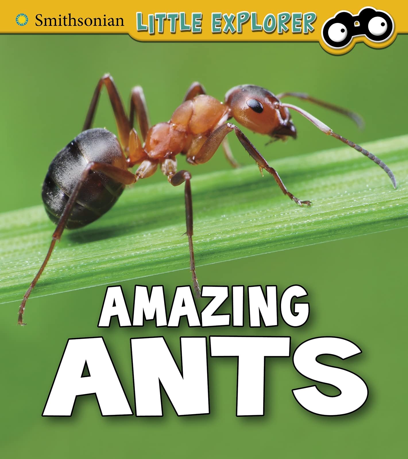 Amazing Ants by Megan Cooley Peterson