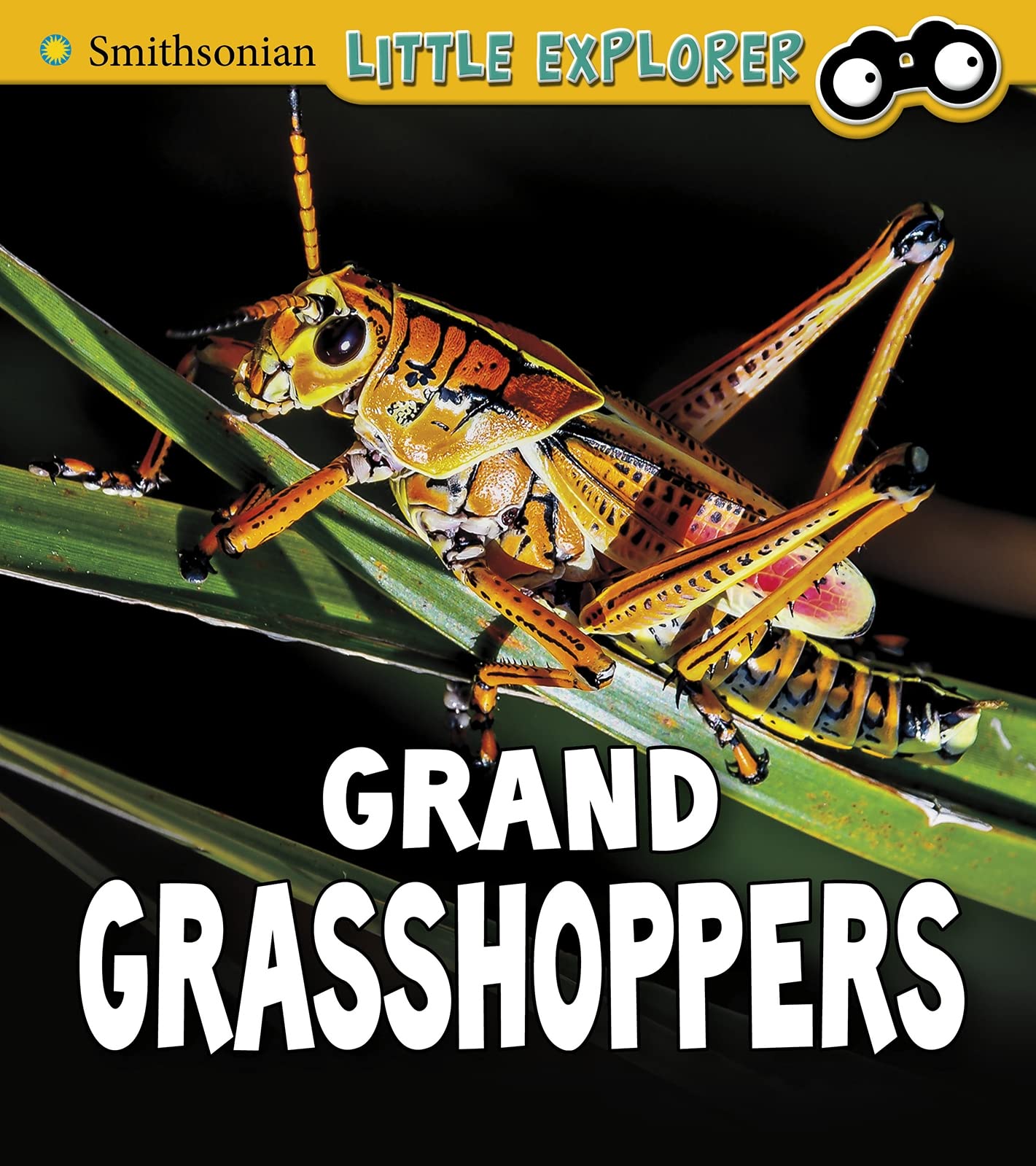 Grand Grasshoppers (Smithsonian Little Explorer: Insect Explorer) by Megan Cooley Peterson