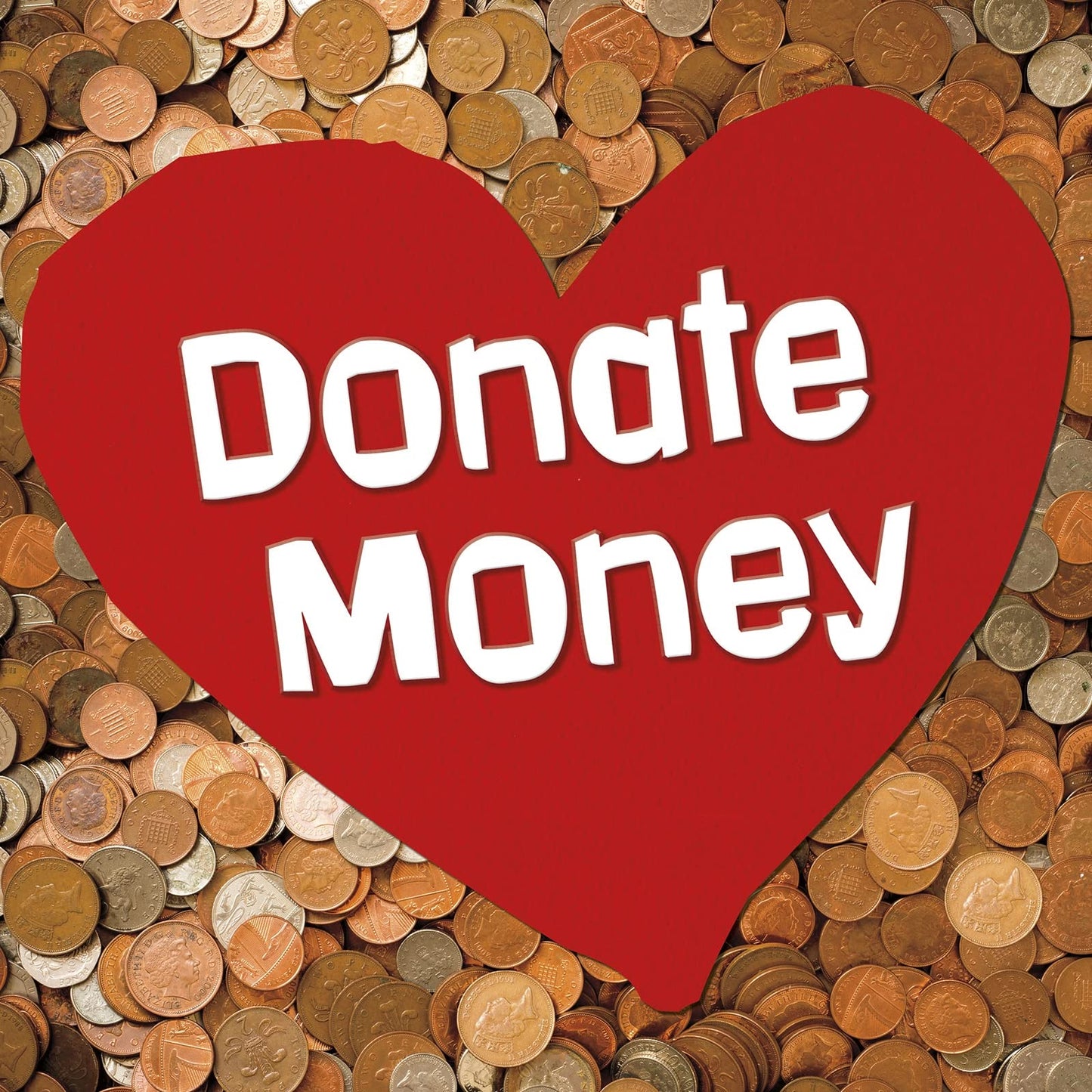 Donate Money (Earn It, Save It, Spend It!) by Emily Raij