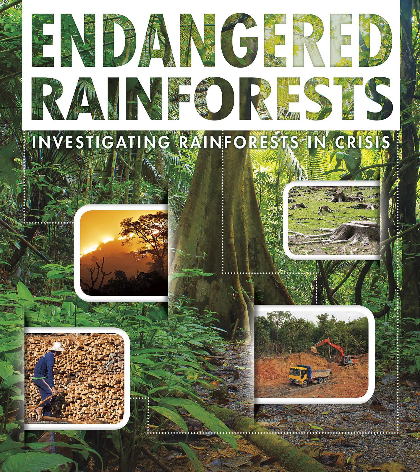 Endangered Rainforests Investigat Rainfo by Rani Iyer