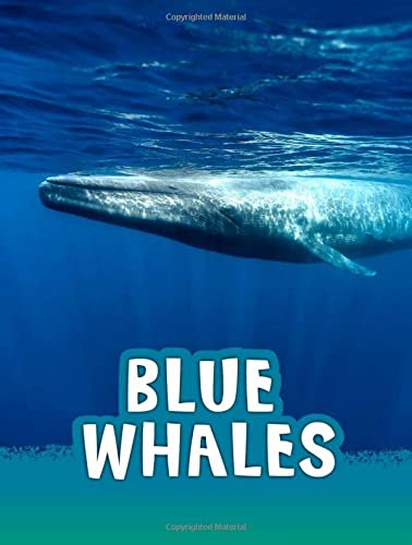 Blue Whales by Mari Schuh