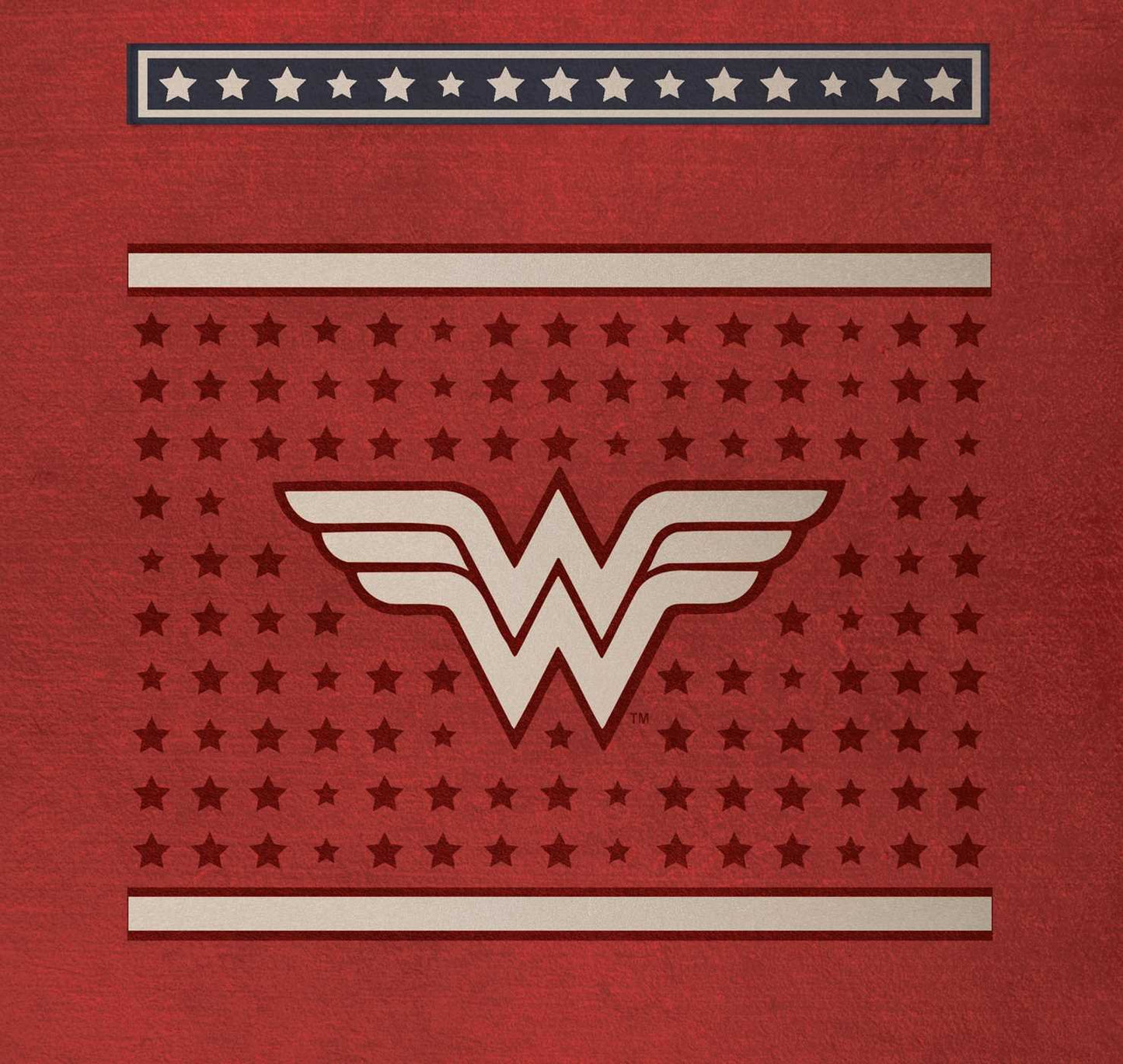 DC Comics: Wonder Woman Deluxe Stationery Set by Insight Editions