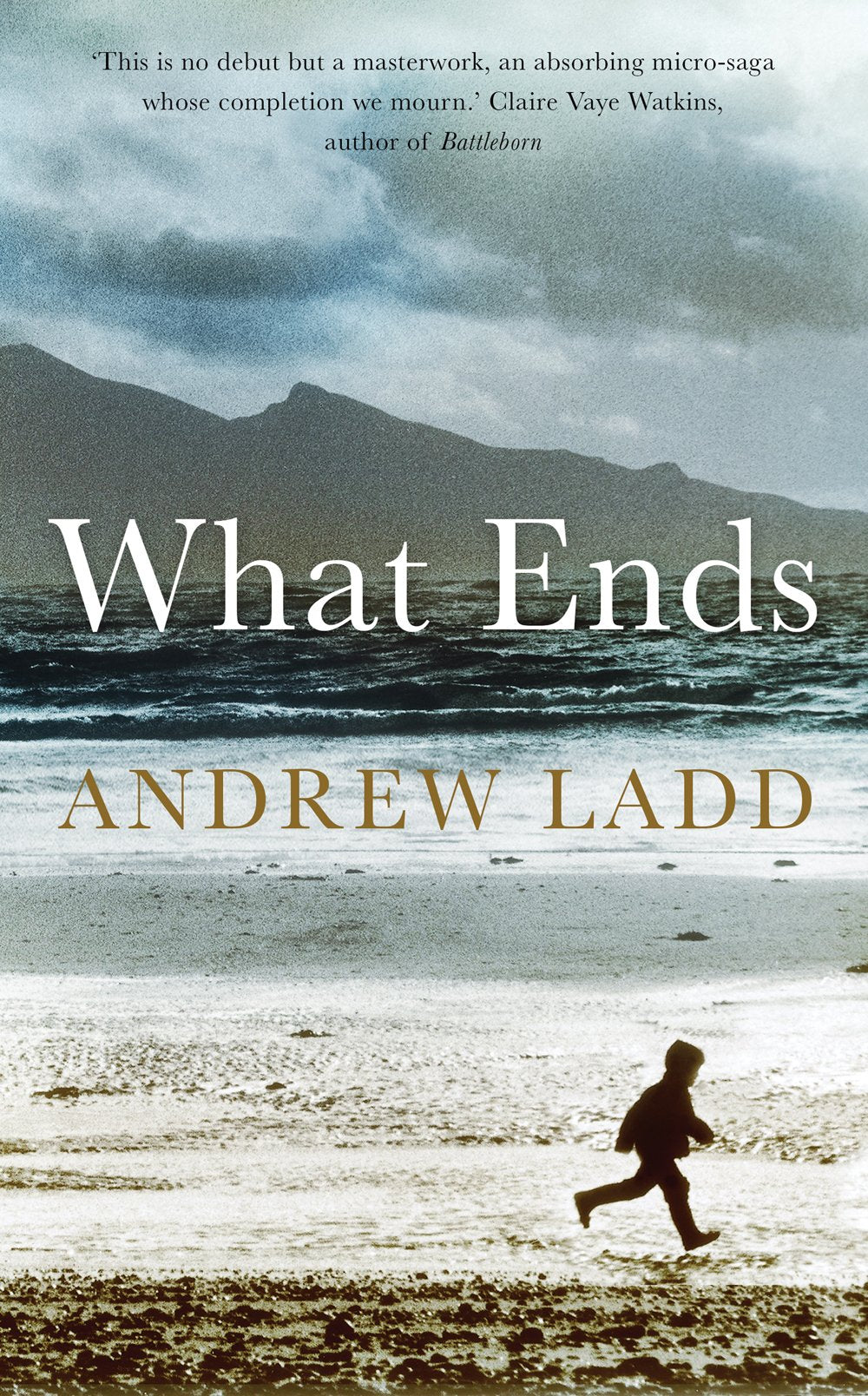 What Ends by Andrew Ladd