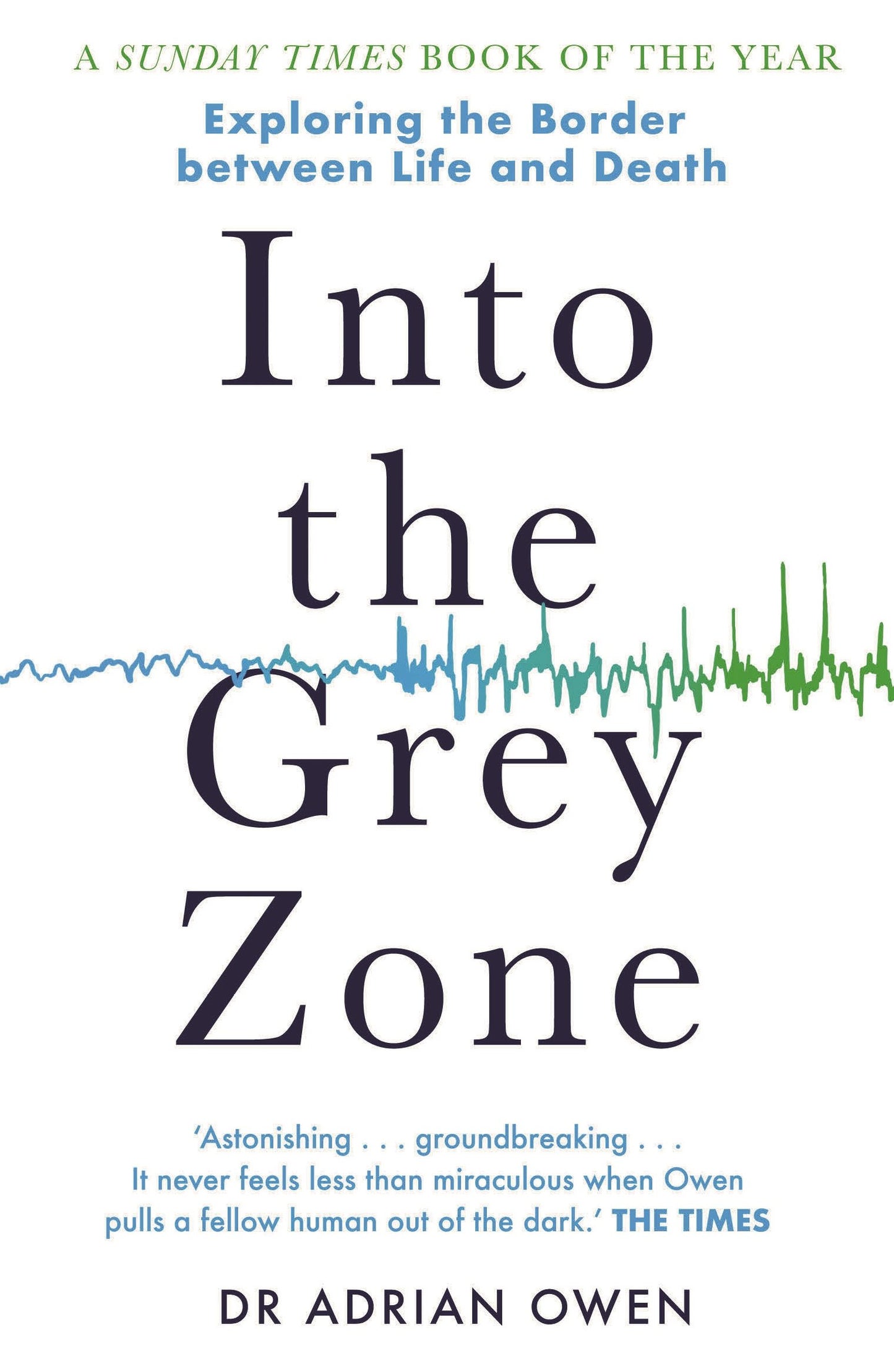 Into The Grey Zone by A. Owen
