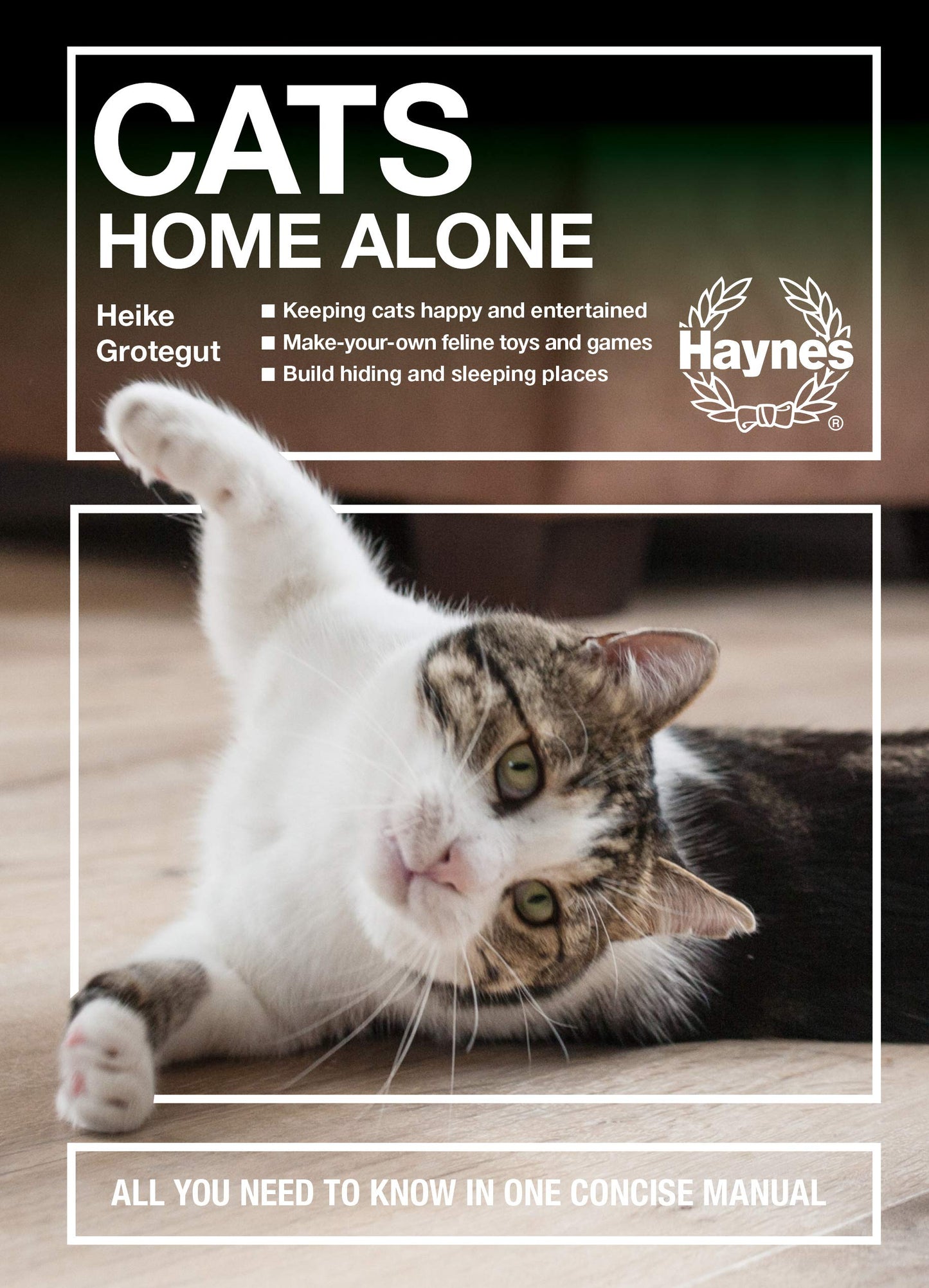 Cats Home Alone: All You Need to Know in One Concise Manual - Keeping cats happy and entertained - Make-you-own feline toys and games - Build hiding and sleeping places (Concise Manuals) by Heiki Grotegut