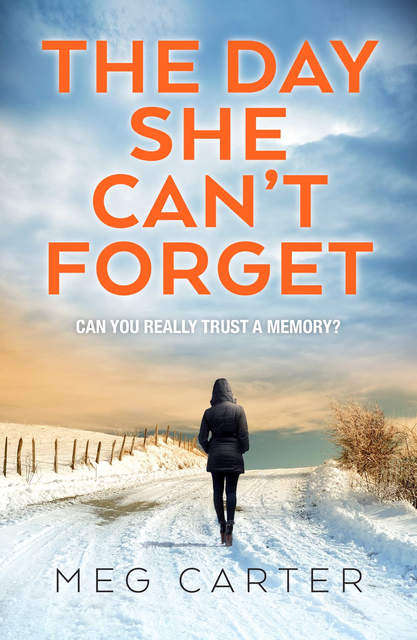 The Day She Can't Forget: The heart-stopping psychological suspense you'll have to keep reading: A compelling psychological thriller that will keep you guessing by Meg Carter