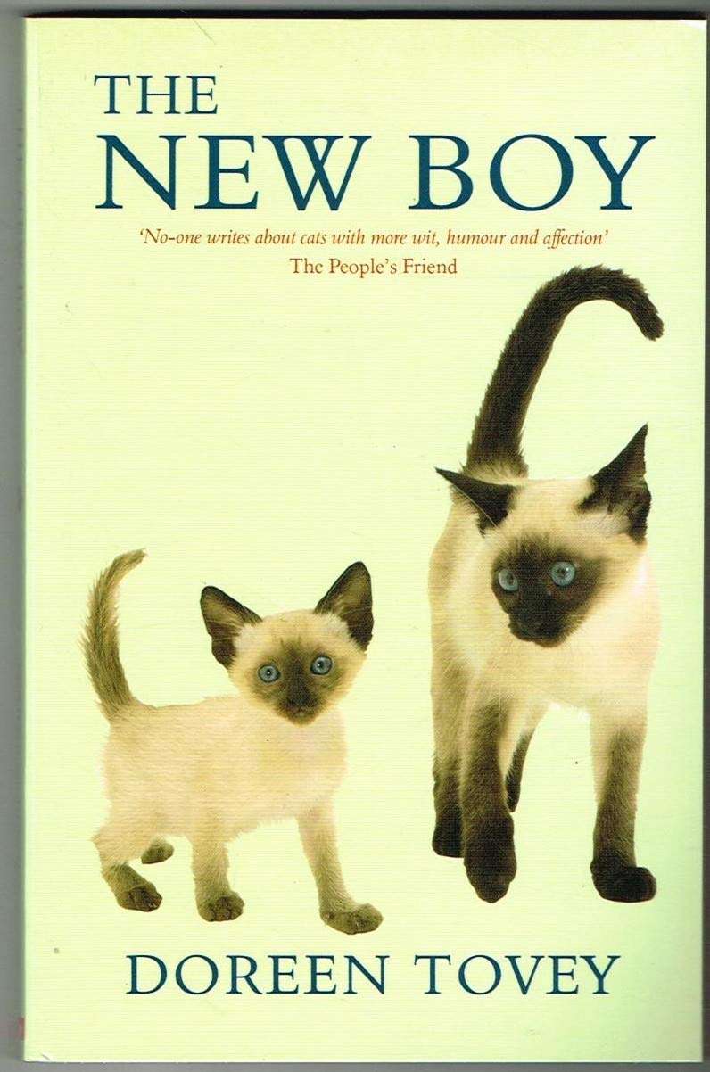 The New Boy by Doreen Tovey