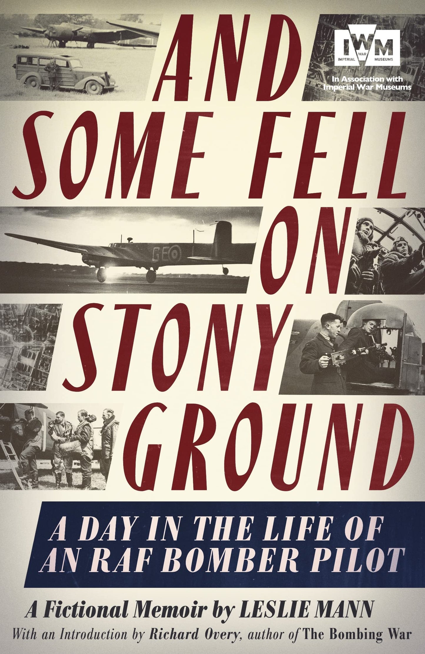 And Some Fell on Stony Ground by Leslie Mann
