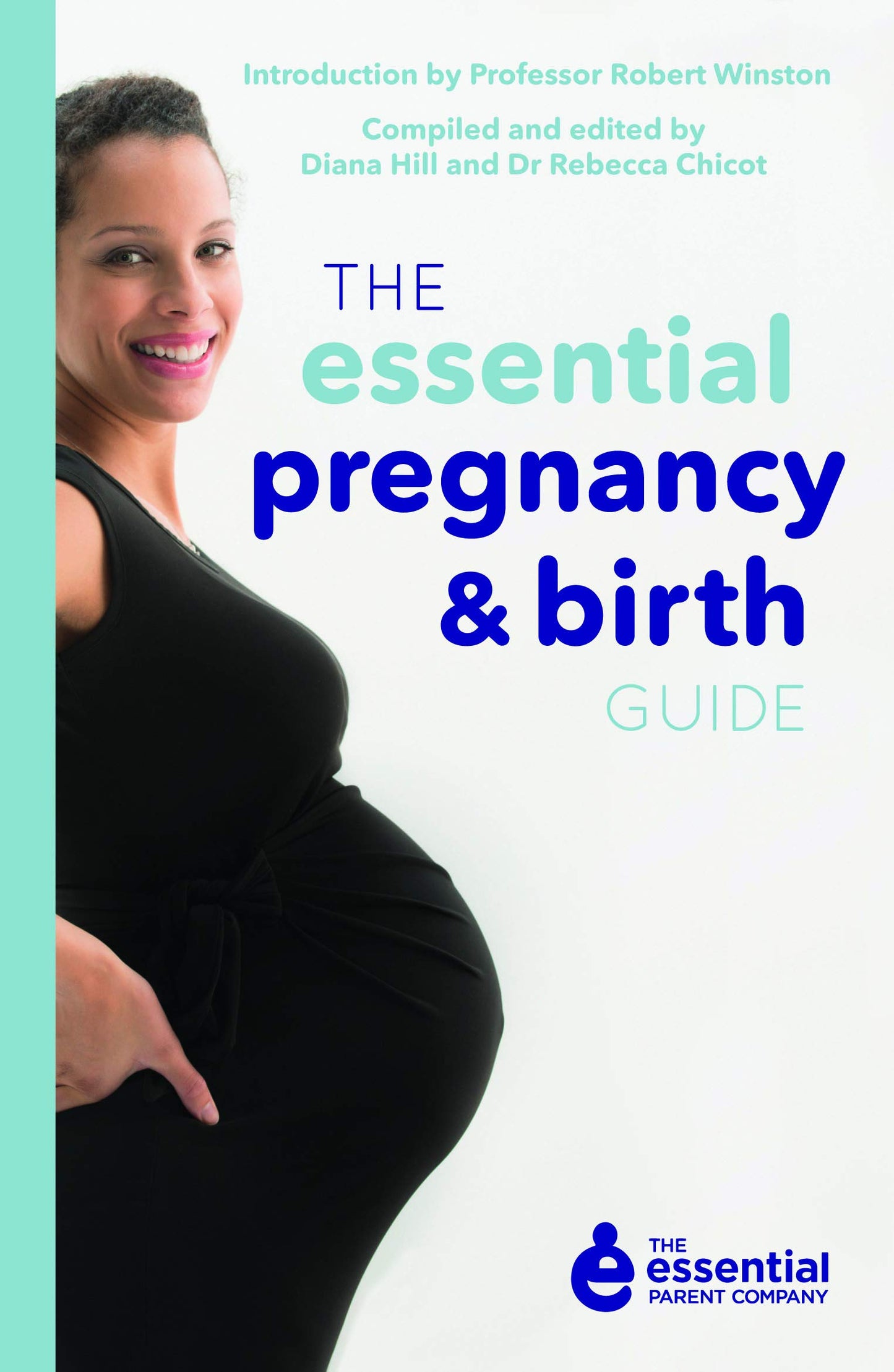 The Essential Pregnancy and Birth Guide by Rebecca Chicot