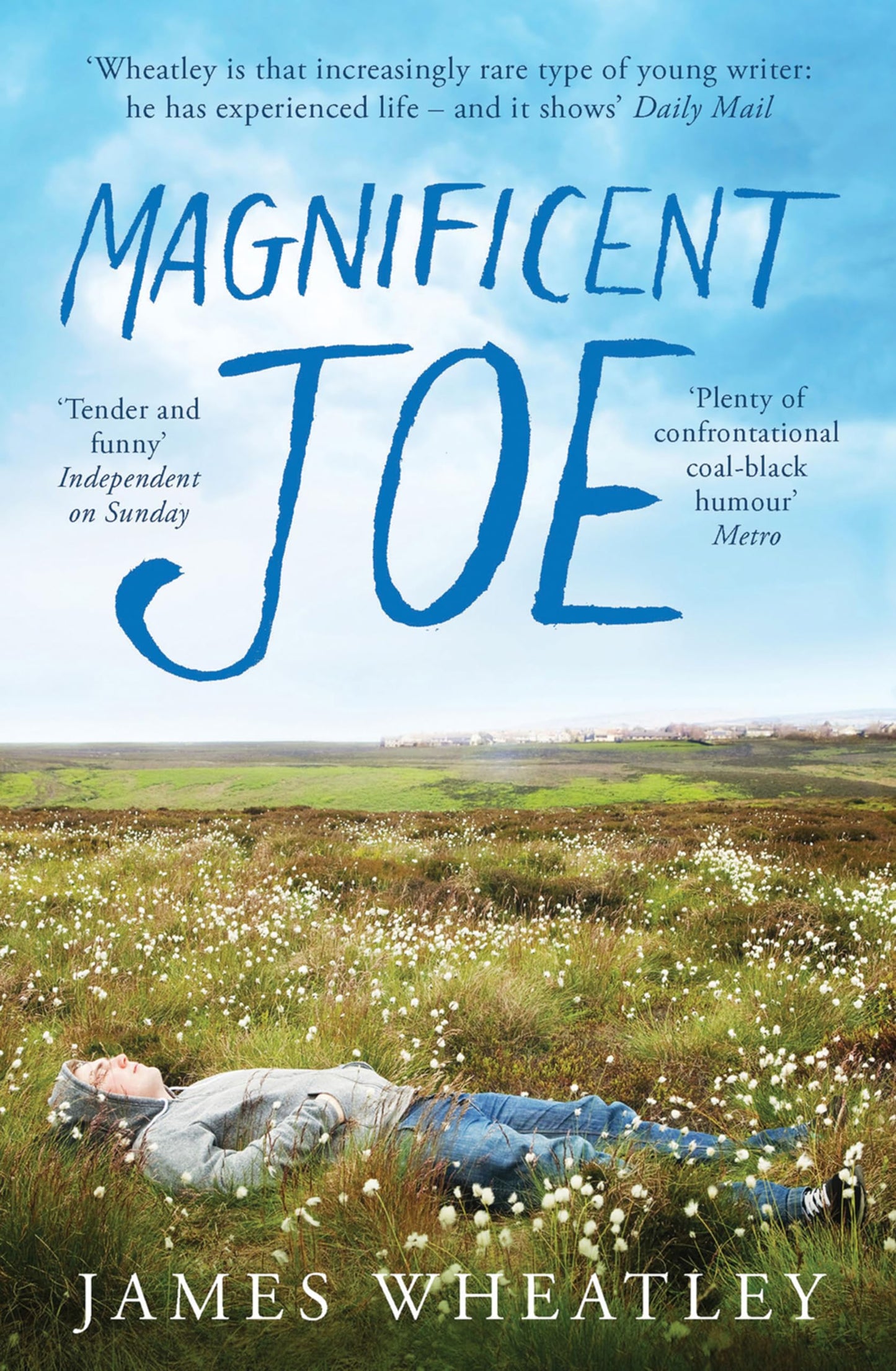 Magnificent Joe by James Wheatley