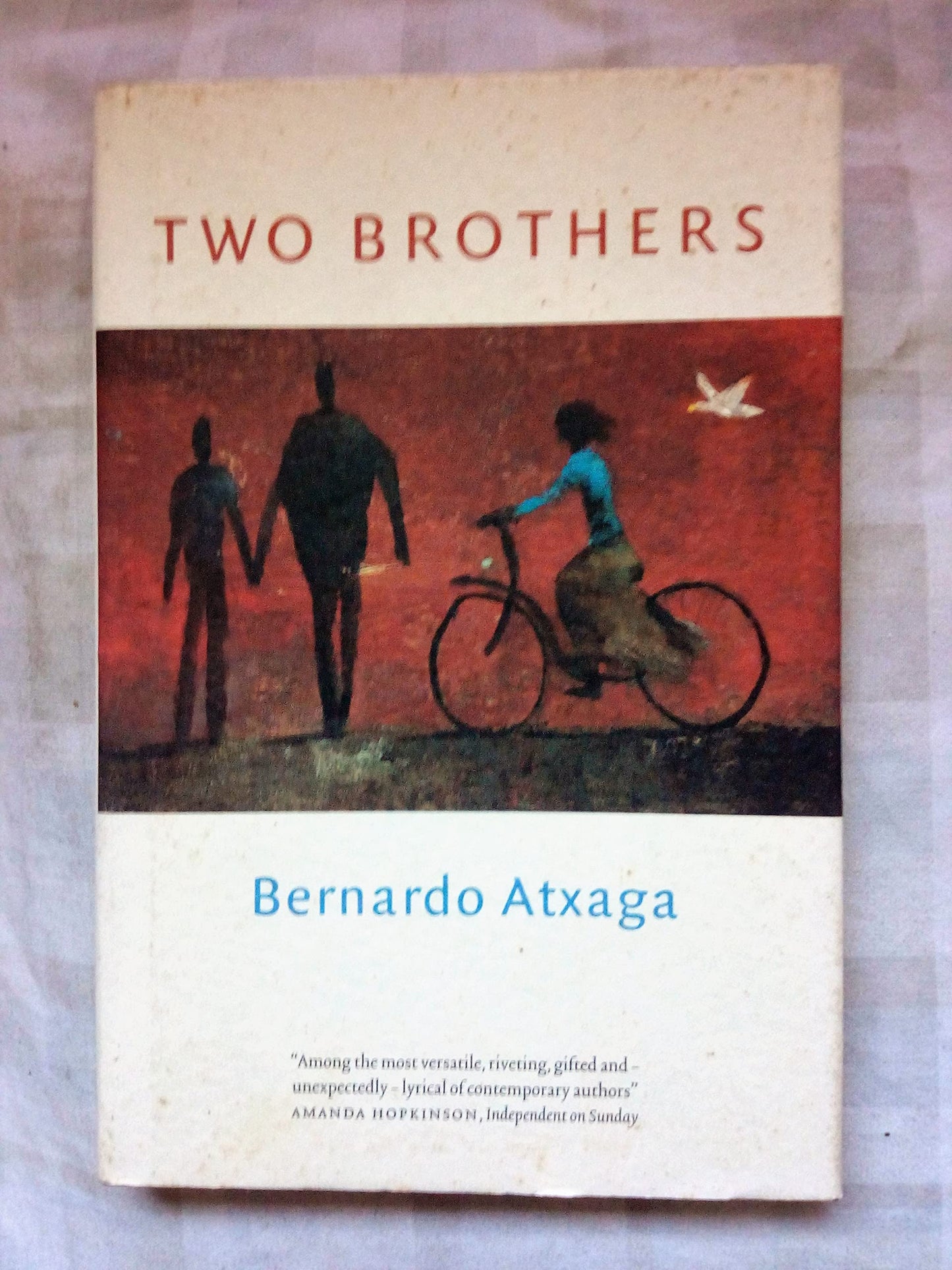 Two Brothers by Bernardo Atxaga