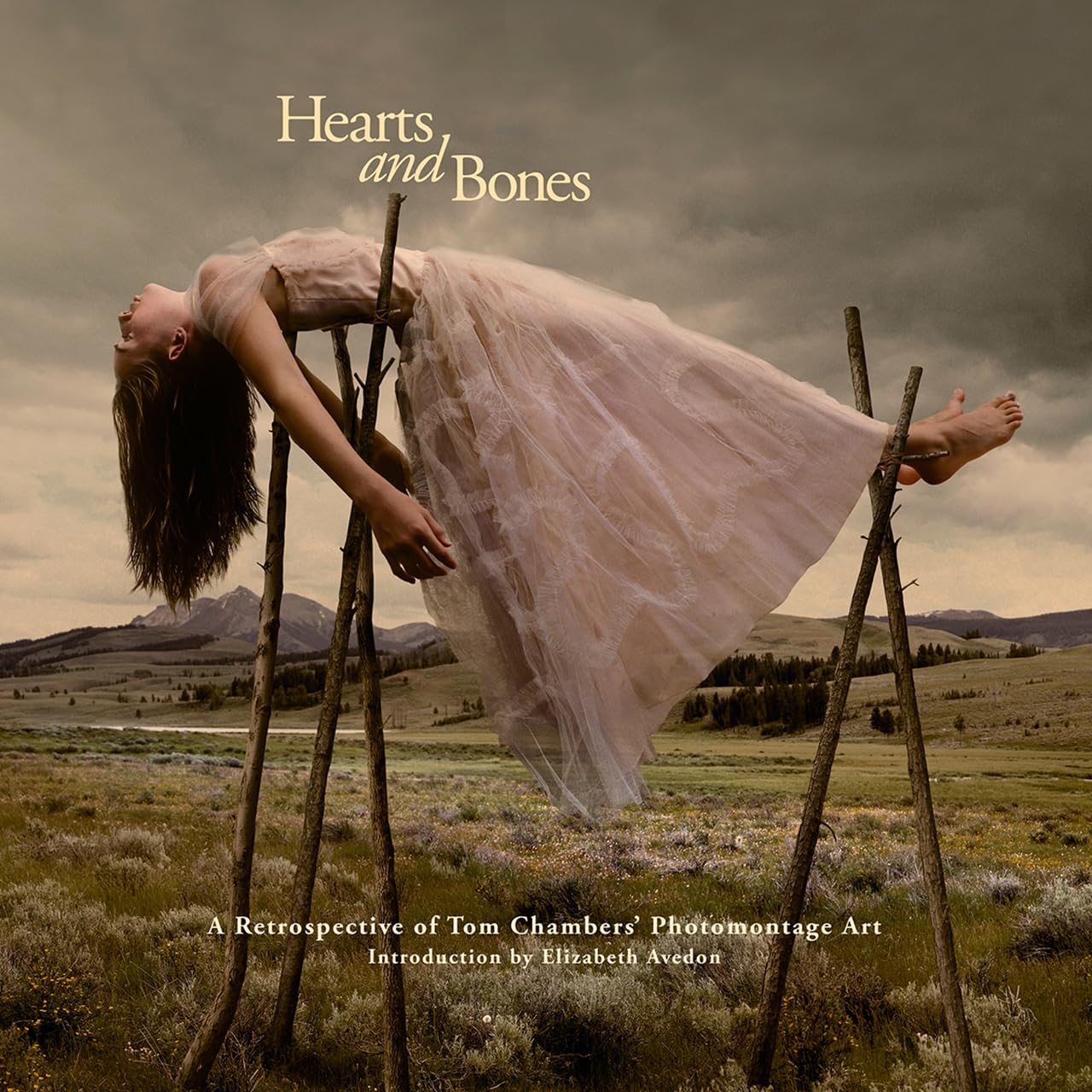 Hearts and Bones: A Retrospective of Tom Chambers' Photomontage Art by Tom Chambers