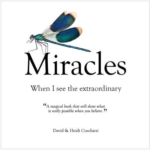 Miracles by David Cuschieri