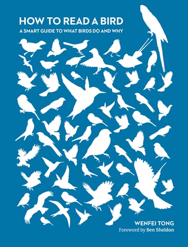 How to Read a Bird by Wenfei Tong