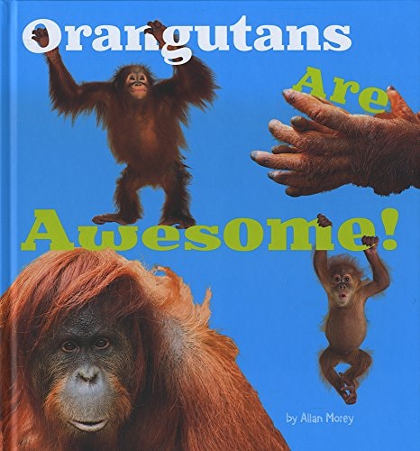 Orangutans Are Awesome! (A+ Books: Awesome Asian Animals) by Allan Morey