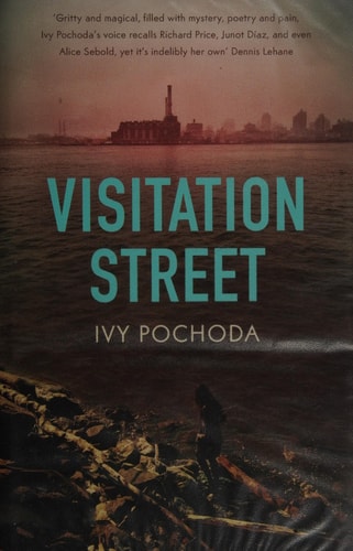 Visitation Street by Ivy Pochoda