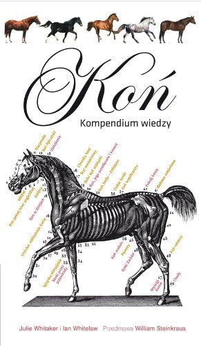 Kon Kompendium wiedzy