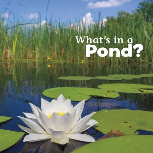 What's in a Pond? by Martha E. H. Rustad
