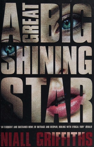 A Great Big Shining Star by Niall Griffiths