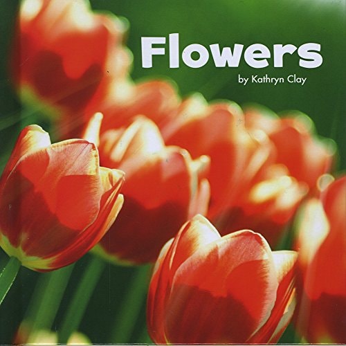 Flowers by Kathryn Clay