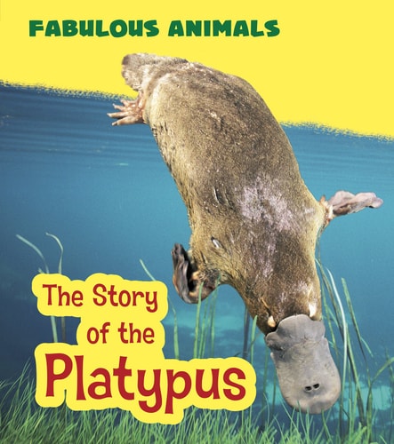 Story Of The Platypus by Anita Ganeri