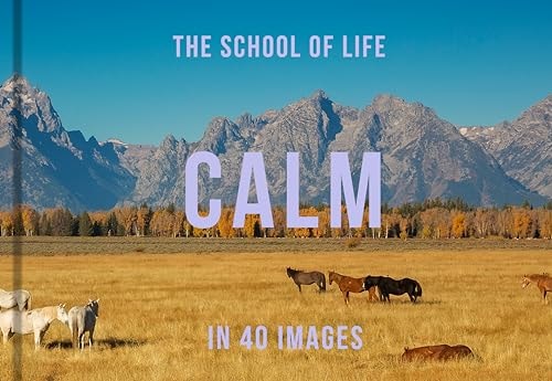 Calm in 40 Images: The art of finding serenity (40 Images series, 3) by The School of Life