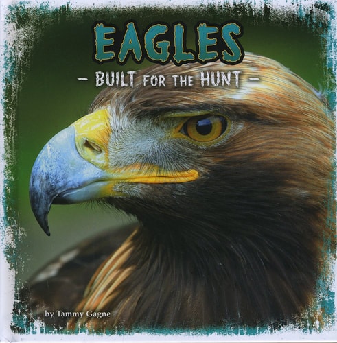 Eagles Built for the Hunt by Tammy Gagne
