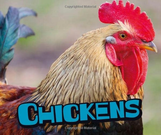 Chickens (Pebble Plus: Farm Animals) by Mira Vonne