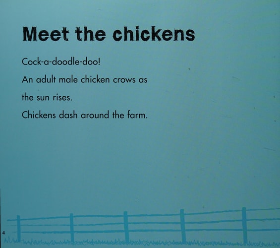 Chickens by Kathryn Clay