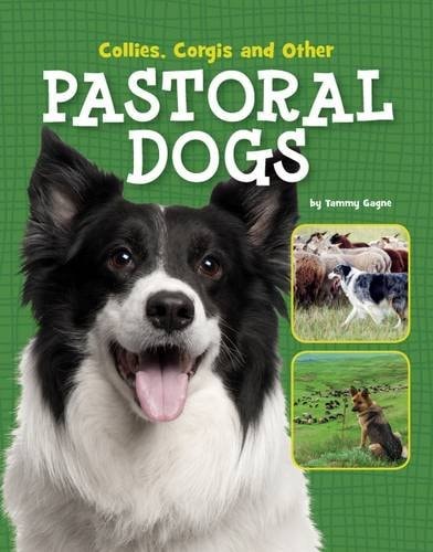 Collies, Corgis and Other Pastoral Dogs by Tammy Gagne
