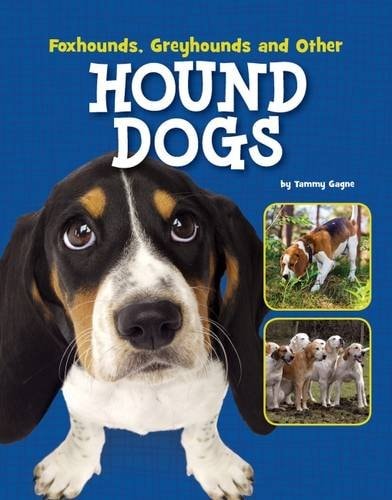 Foxhounds, Greyhounds and Other Hound Dogs by Tammy Gagne