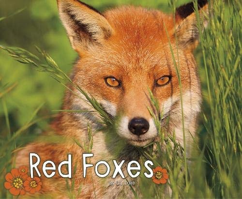 Red Foxes by G. G. Lake