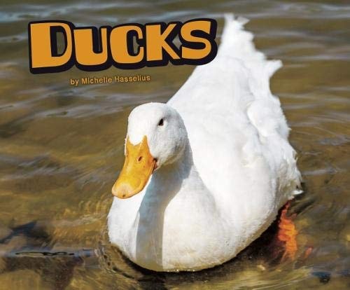 Ducks by Michelle M. Hasselius