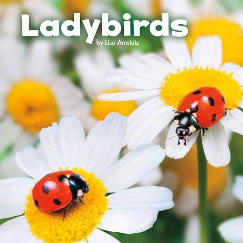 Ladybirds by Lisa J. Amstutz