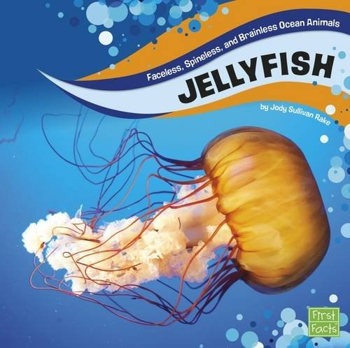 Jellyfish by Jody Sullivan Rake