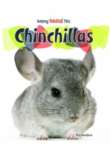 Chinchillas by Sonia Hernandez-Divers, Tom Handford