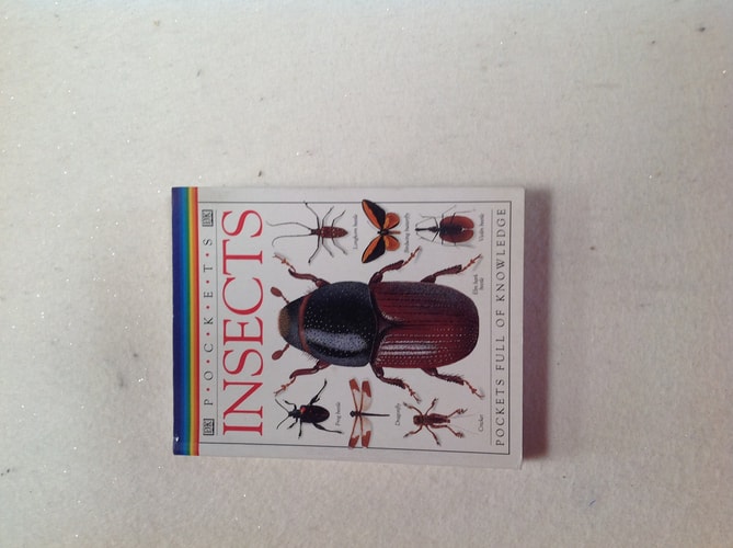 Insects by Laurence Alfred Mound, S. J. Brooks